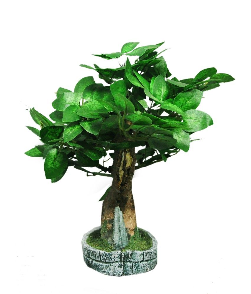 Bonsai In Stone Vase Buy Bonsai In Stone Vase At Best Price In India On Snapdeal
