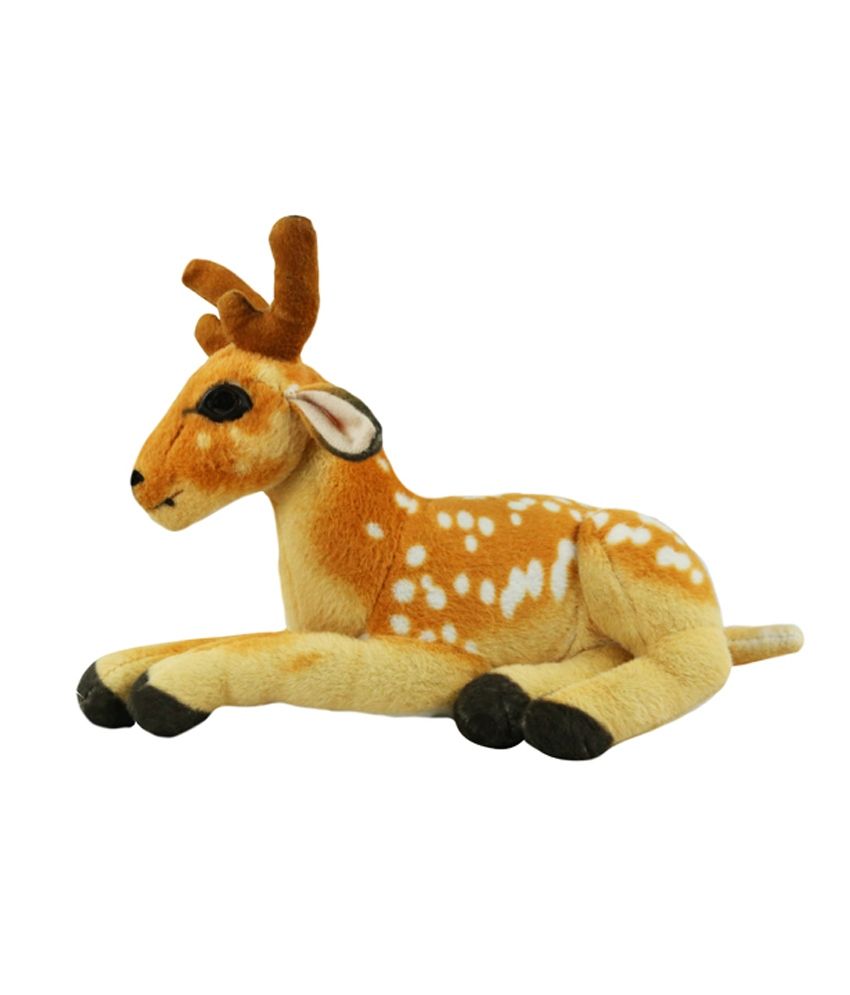 teddy deer