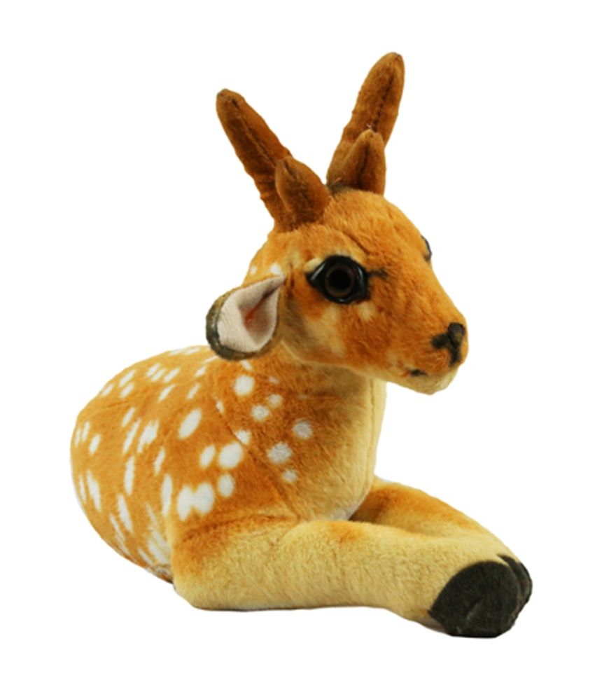 teddy deer