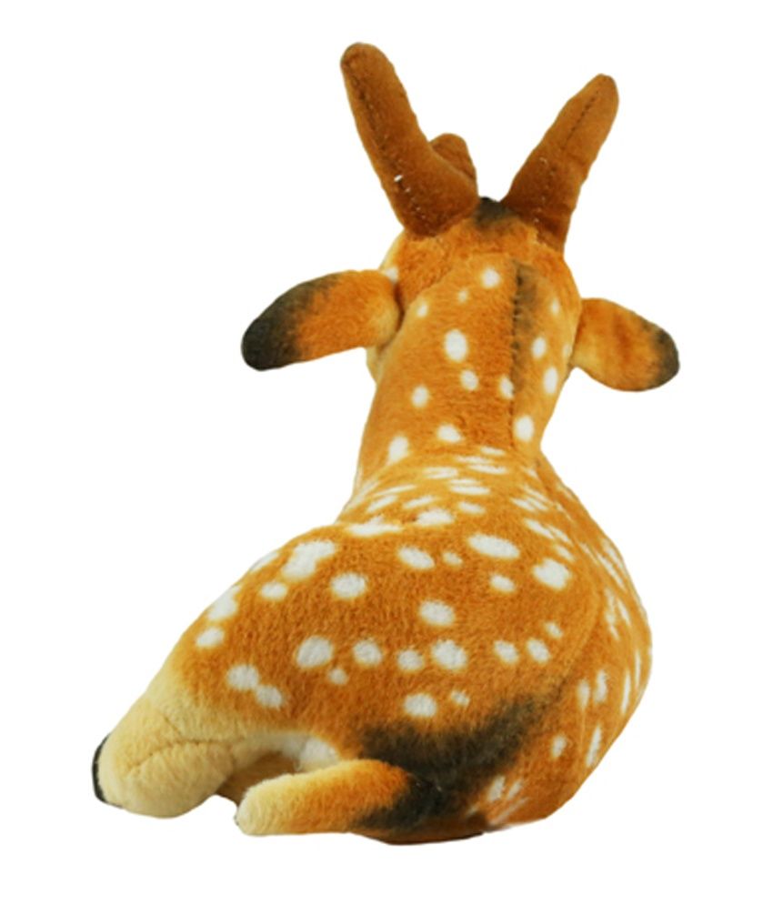 teddy deer