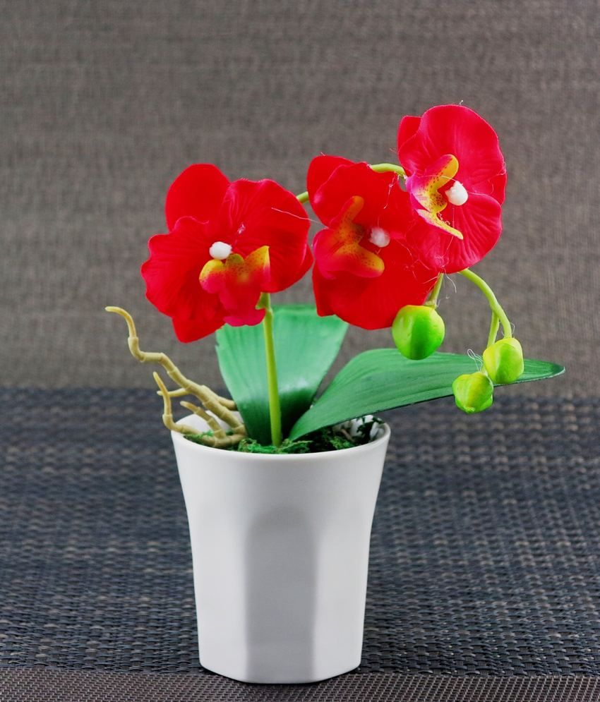 Importwala Red Artificial Flower With Ceramic Pot Buy Importwala Red