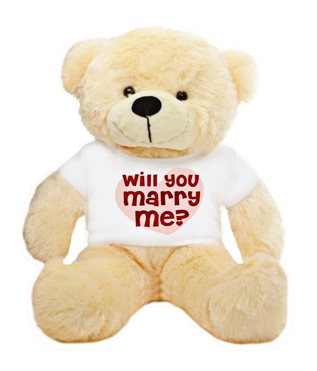 teddy for boyfriend