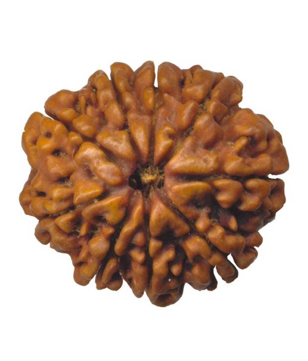     			Ganga Gems 9 Mukhi Rudraksha Round Nepali 15mm