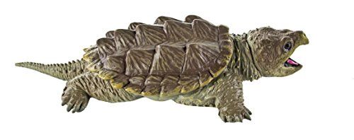 Safari Ltd Alligator Snapping Turtle - Buy Safari Ltd Alligator ...