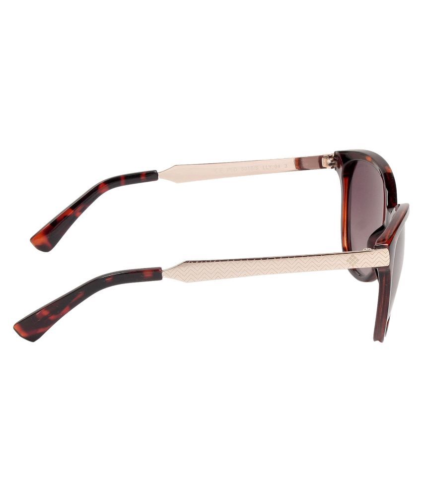 Polaroid Maroon Cat Eye Sunglasses Pld5016s Buy Polaroid Maroon Cat Eye Sunglasses 9796