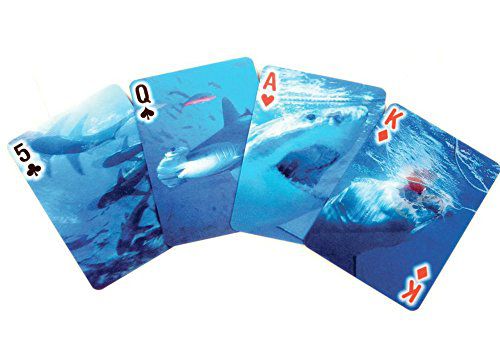 sharks poker