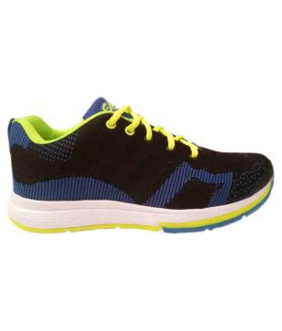 sphere sports shoes price