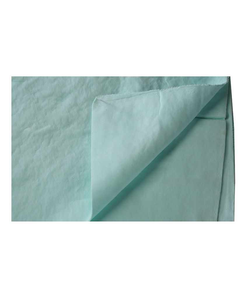 Four Paws Pet Water Absorbing Cloth (Green): Buy Four Paws Pet Water ...