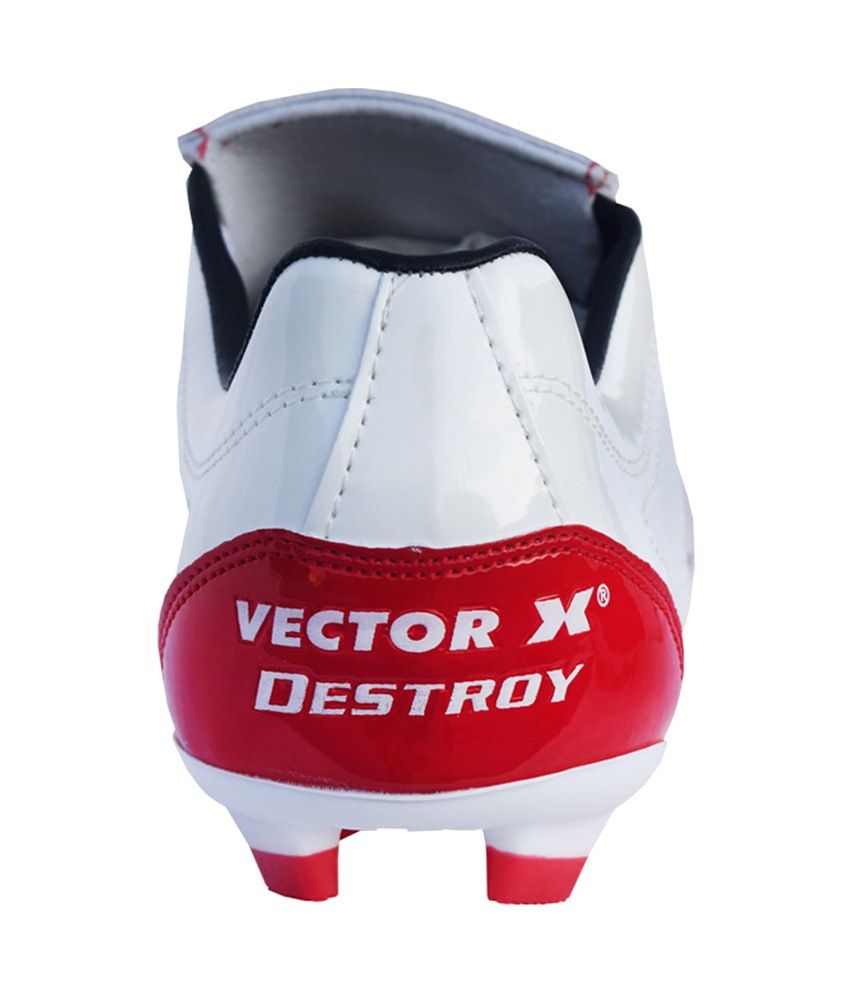 vector x fizer
