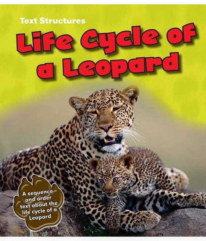 Life Cycle of a Leopard: Buy Life Cycle of a Leopard Online at Low ...