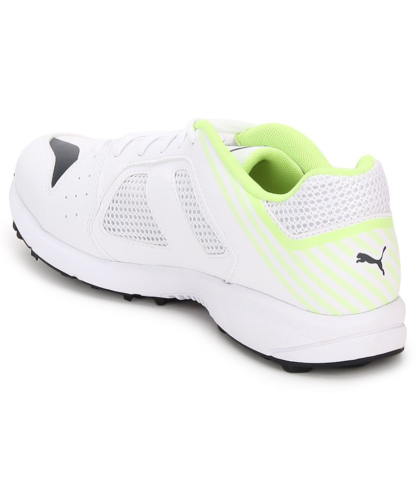 puma team rubber cricket shoes