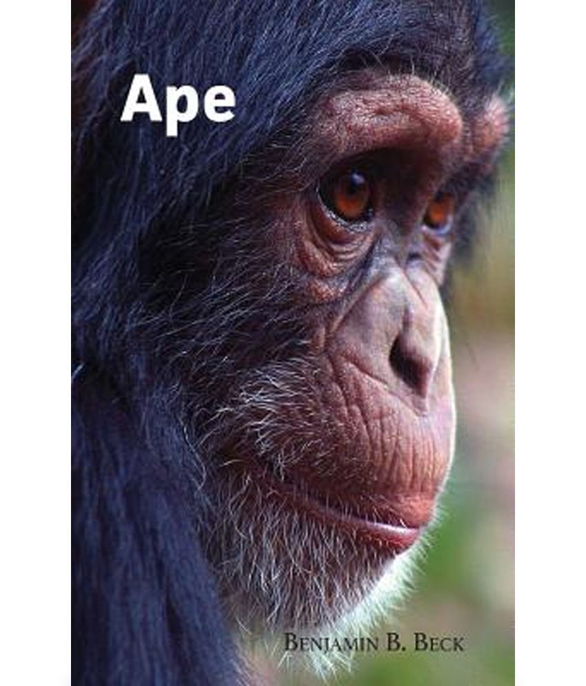 buy ape