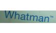 whatman