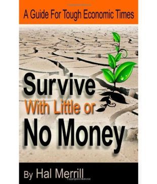 Survive With Little Or No Money A Guide For Tough Economic Times - 