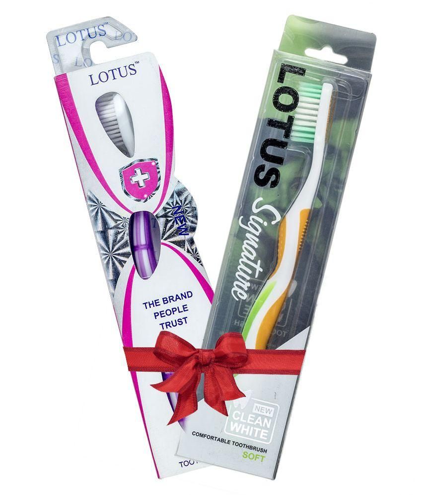lotus toothbrush price