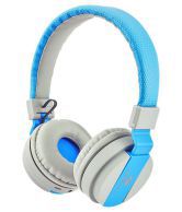 Zebronics Bluetooth Wireless With Mic Headphones/Earphones