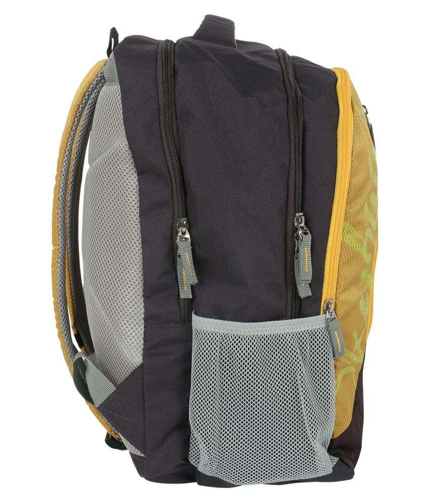 Skybags Brown Backpack Buy Skybags Brown Backpack Online at Low Price