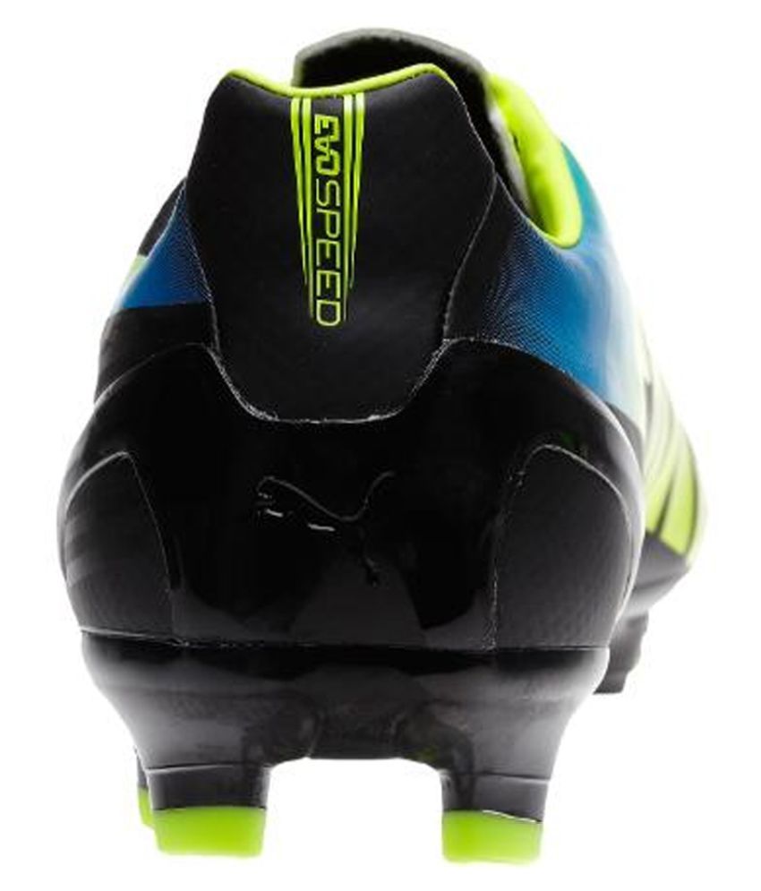 puma evospeed 4.2