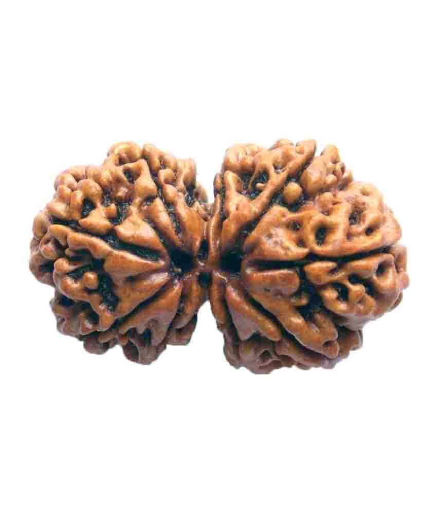     			Narayan Religious Shopee Gauri Shankar Rudraksha from Nepal