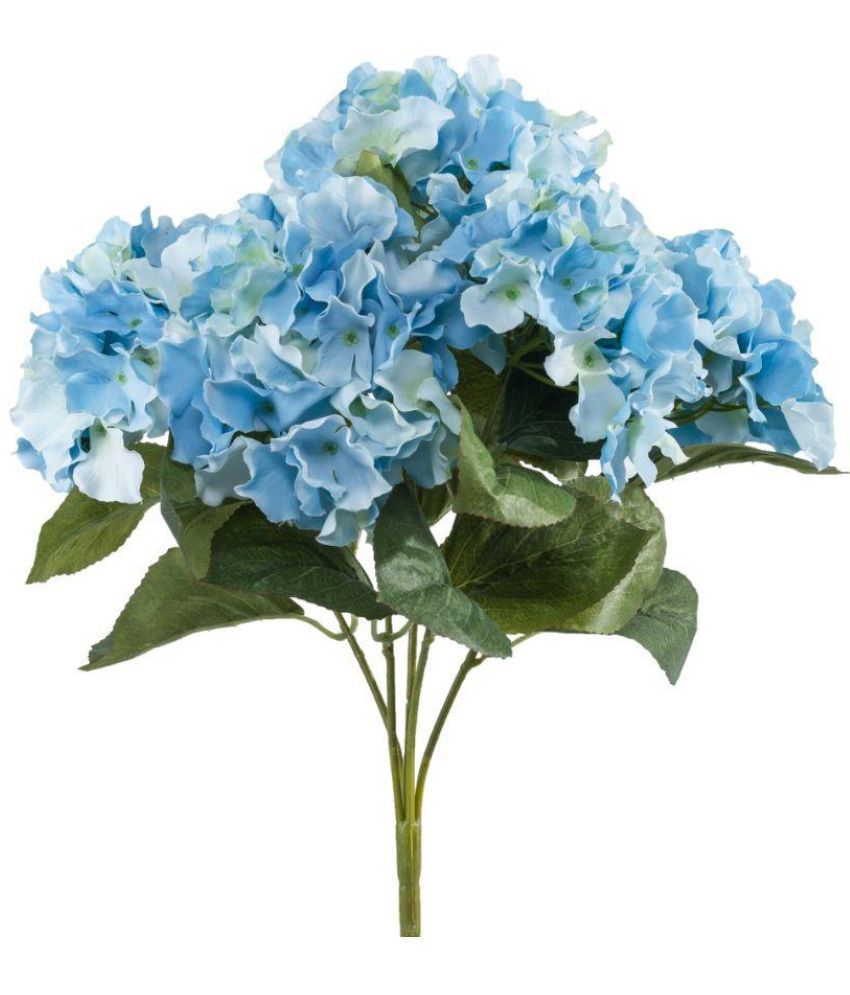 E Garden Royal Blue Hydrangea Flower Seeds: Buy E Garden Royal Blue ...