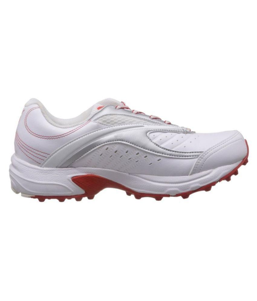 puma spring and rubber industries