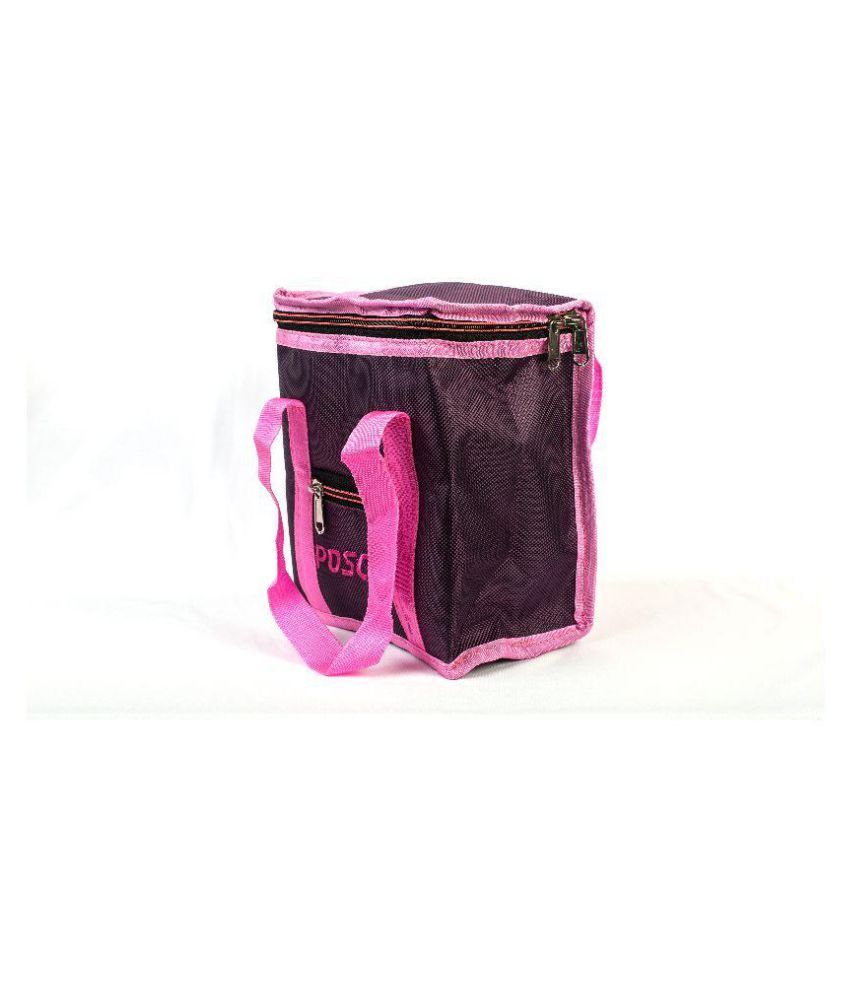 small tiffin bag