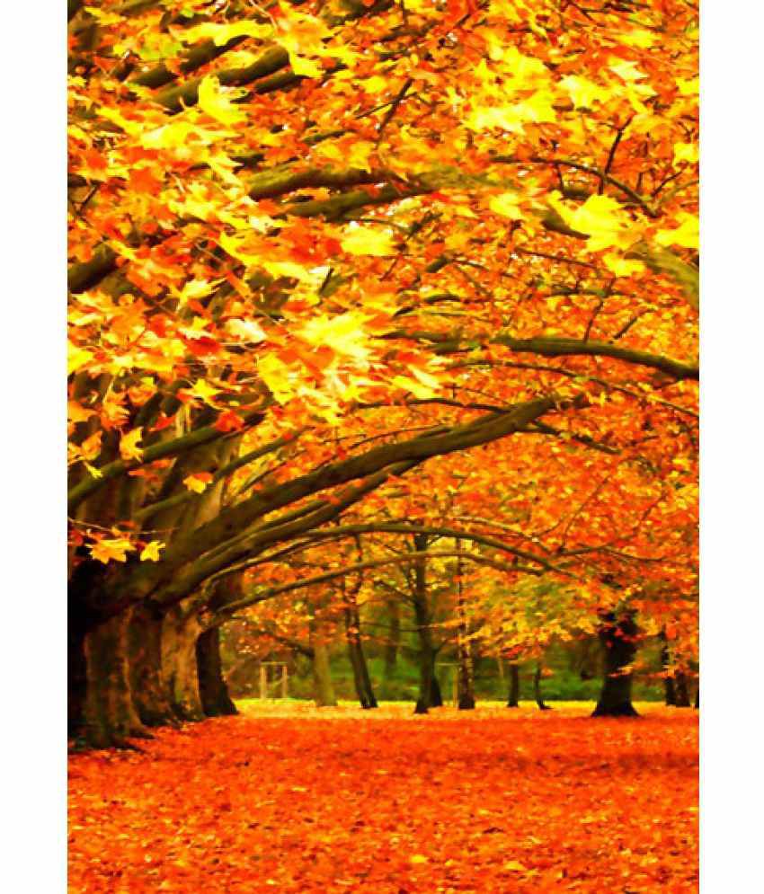 fall scenery images