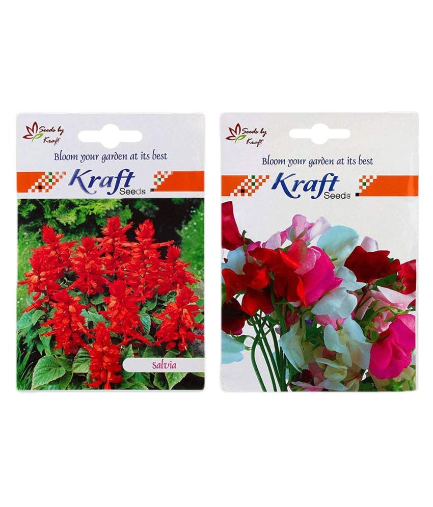 Kraft Seeds Flower Seeds Buy Kraft Seeds Flower Seeds Online at Low Price Snapdeal