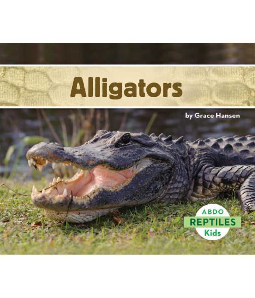 Alligators Buy Alligators Online at Low Price in India on Snapdeal