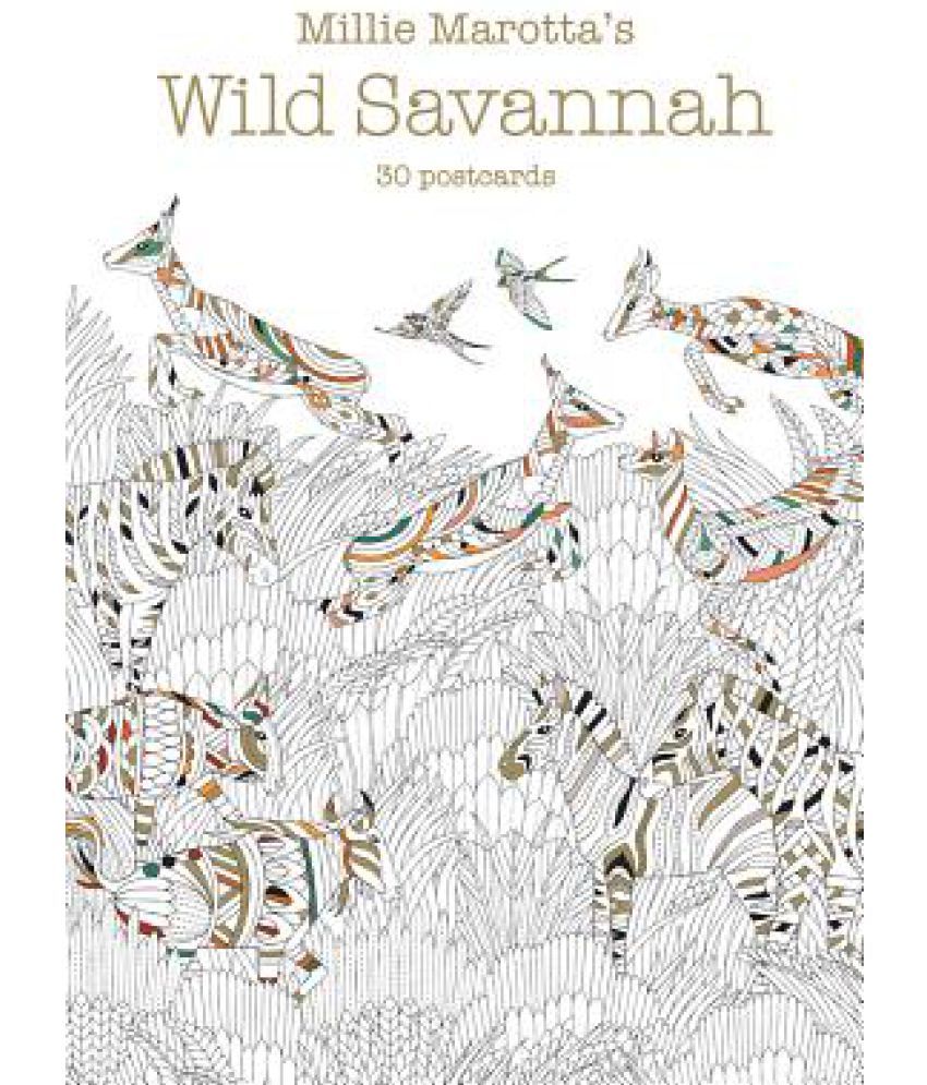 Millie Marottas Wild Savannah 30 Postcards Buy Marotta S SDL076751043 1