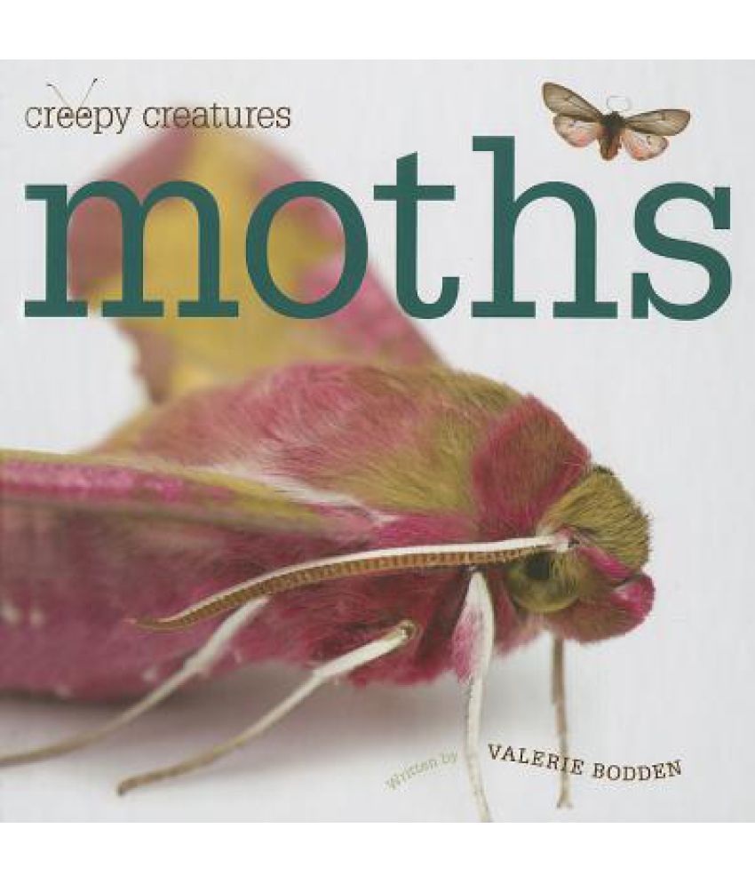 Moths Buy Moths Online at Low Price in India on Snapdeal