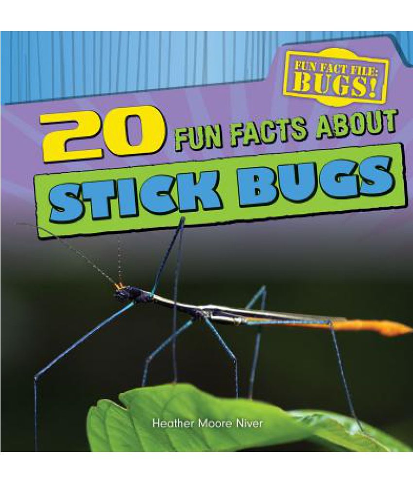 20-fun-facts-about-stick-bugs-buy-20-fun-facts-about-stick-bugs-online