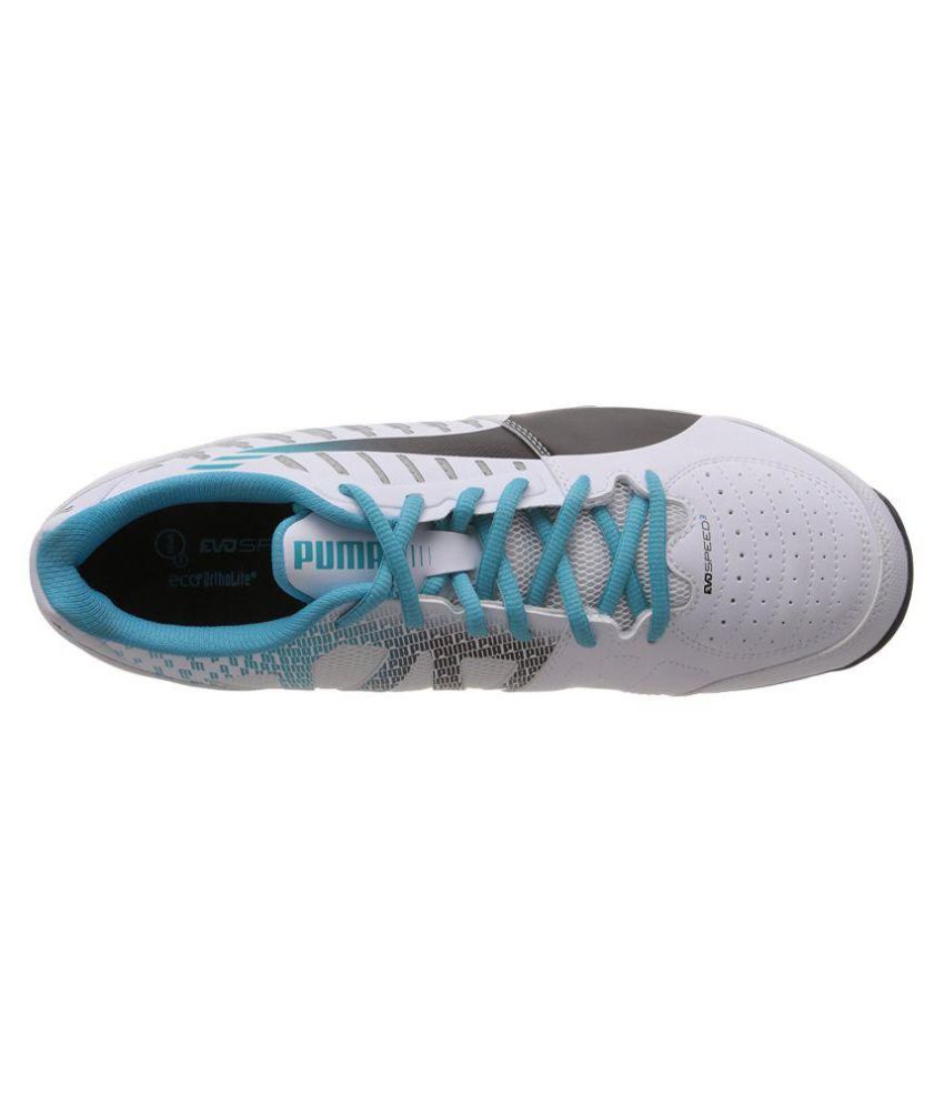 puma evospeed cricket shoes