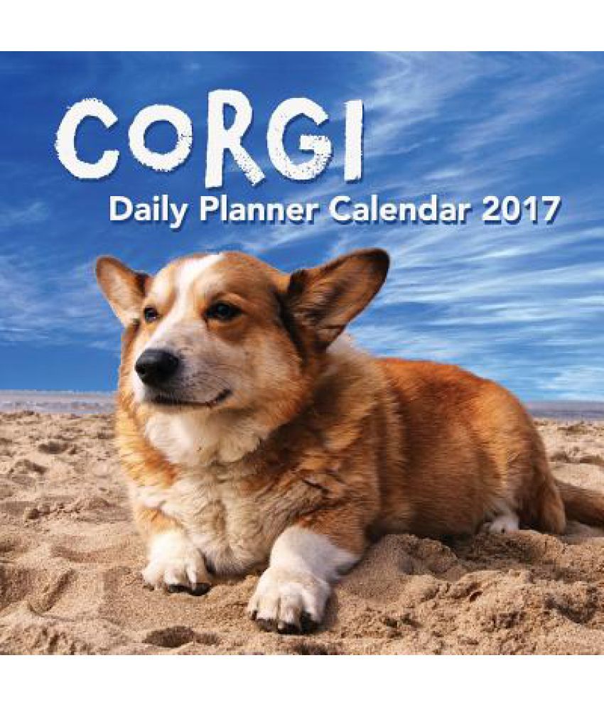 How Much Does A Corgi Cost In India | Goldenacresdogs.com