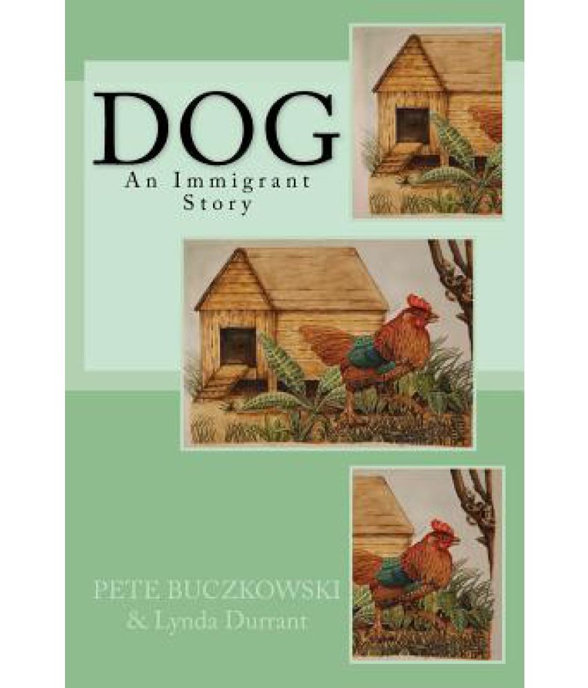 dog house online snapdeal