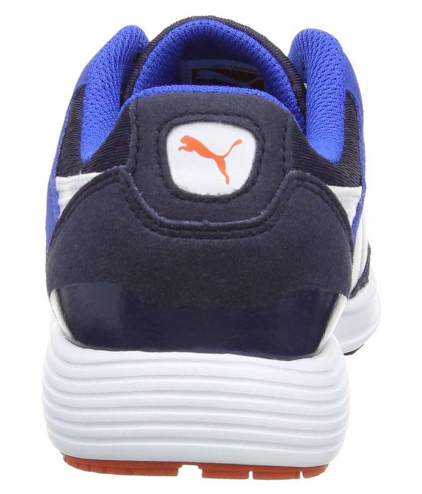 multi colored puma