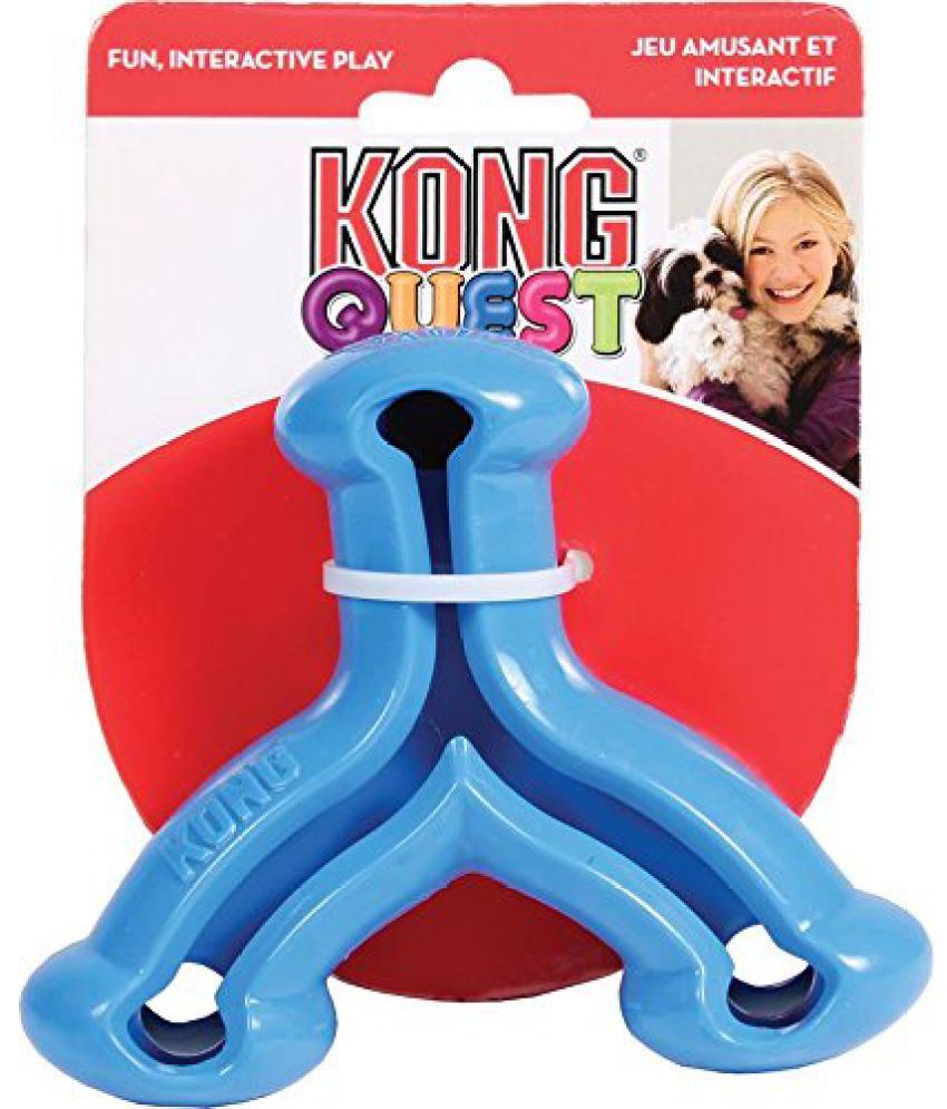 kong quest wishbone small