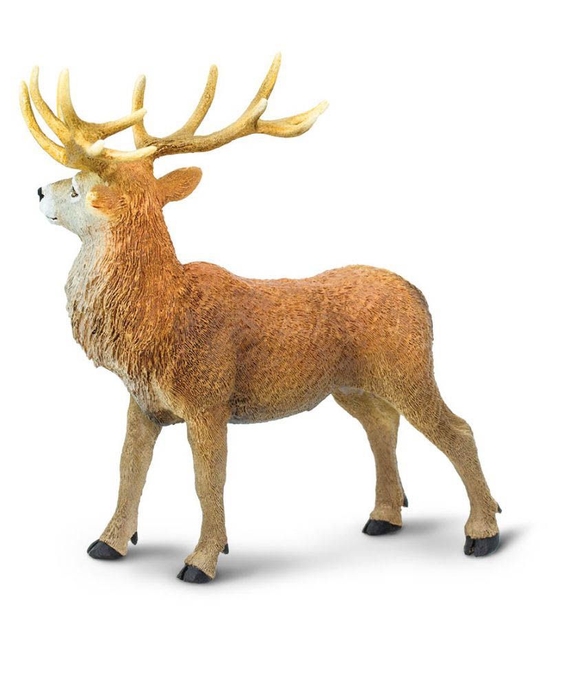 Safari Ltd RED DEER STAG - Buy Safari Ltd RED DEER STAG Online at Low ...