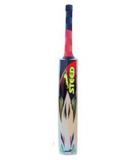 Steed Echo Model English Willow Bat