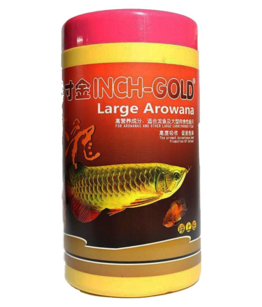 Inch Gold Tropical Fish Dry Food 100 gm 500 gm Buy Inch Gold