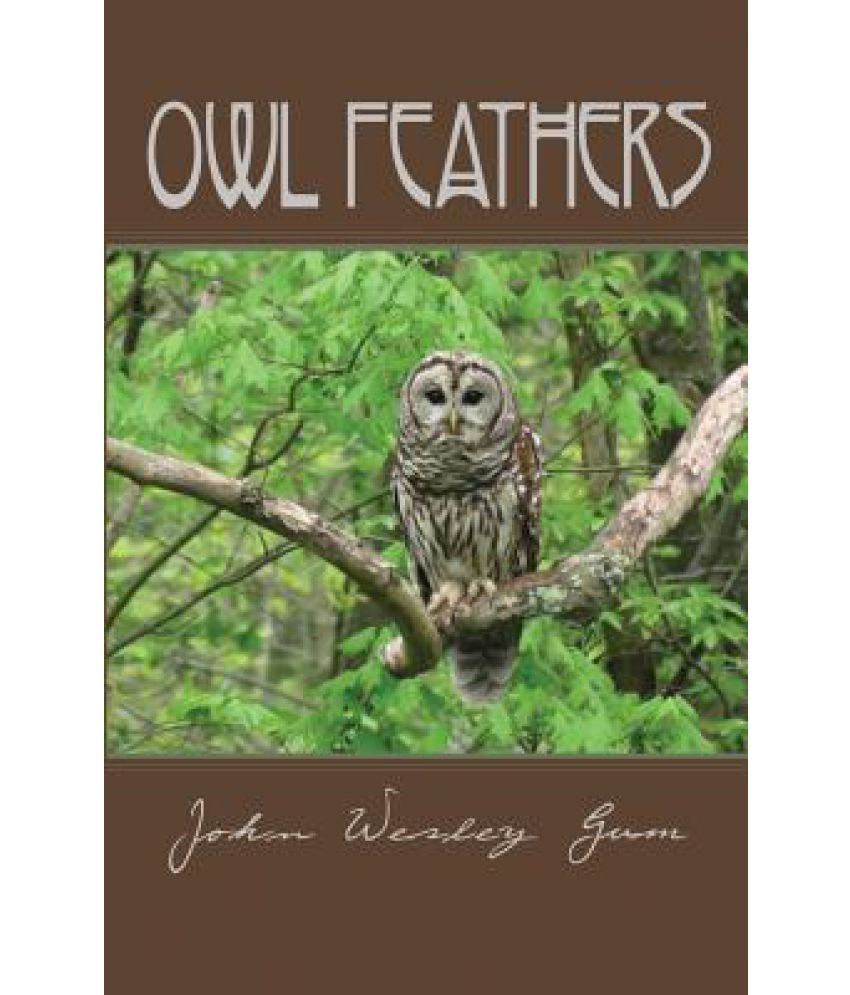 Owl Feathers: Buy Owl Feathers Online at Low Price in ...