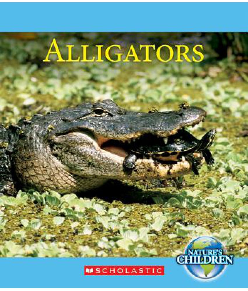 Alligators Buy Alligators Online at Low Price in India on Snapdeal