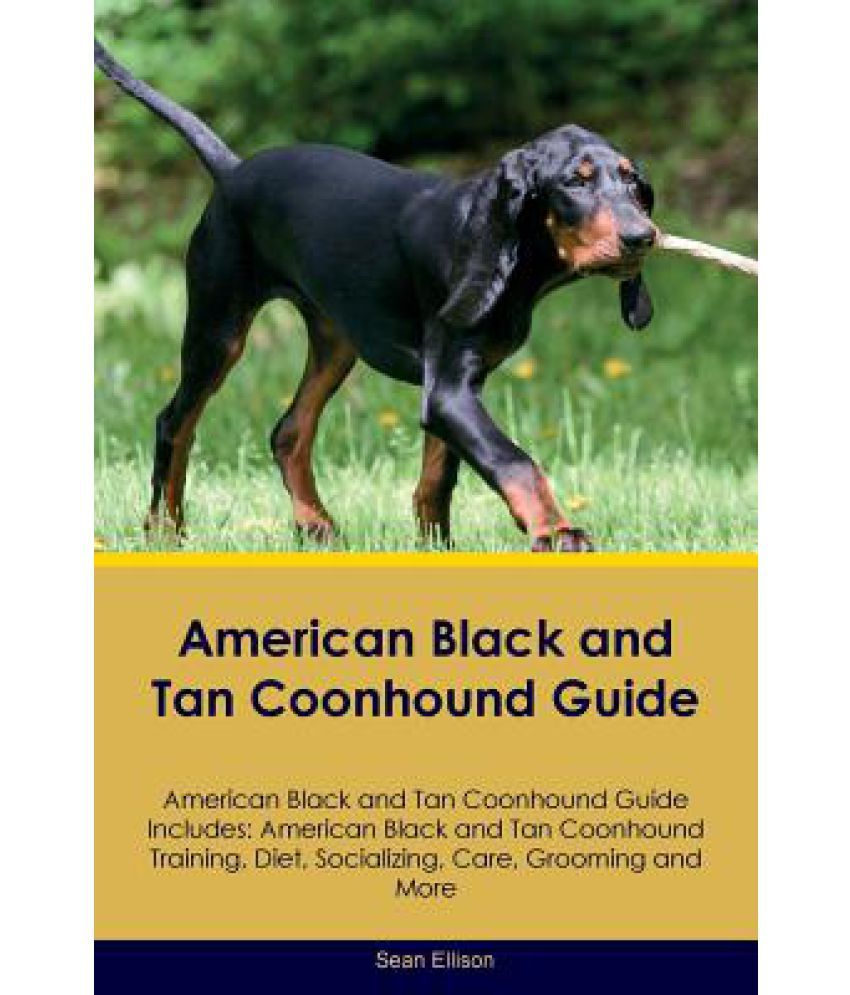 how much does a black and tan coonhound cost