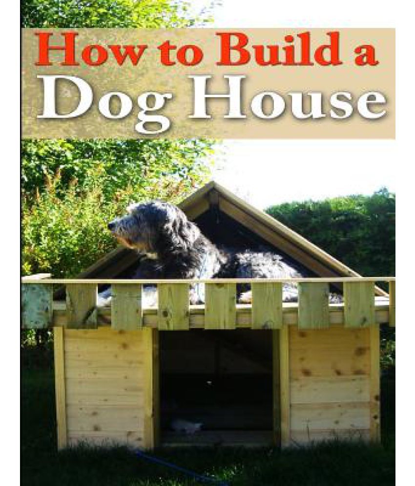 cod liver oil for cats