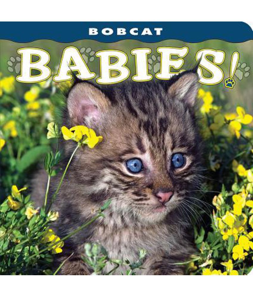 Bobcat Babies!: Buy Bobcat Babies! Online at Low Price in India on Snapdeal