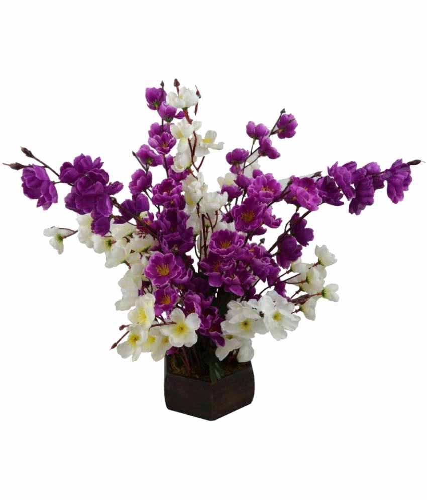     			Kaykon Orchids Flowers With Pot Multicolour