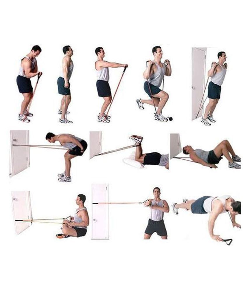 chest expander exercises for beginners