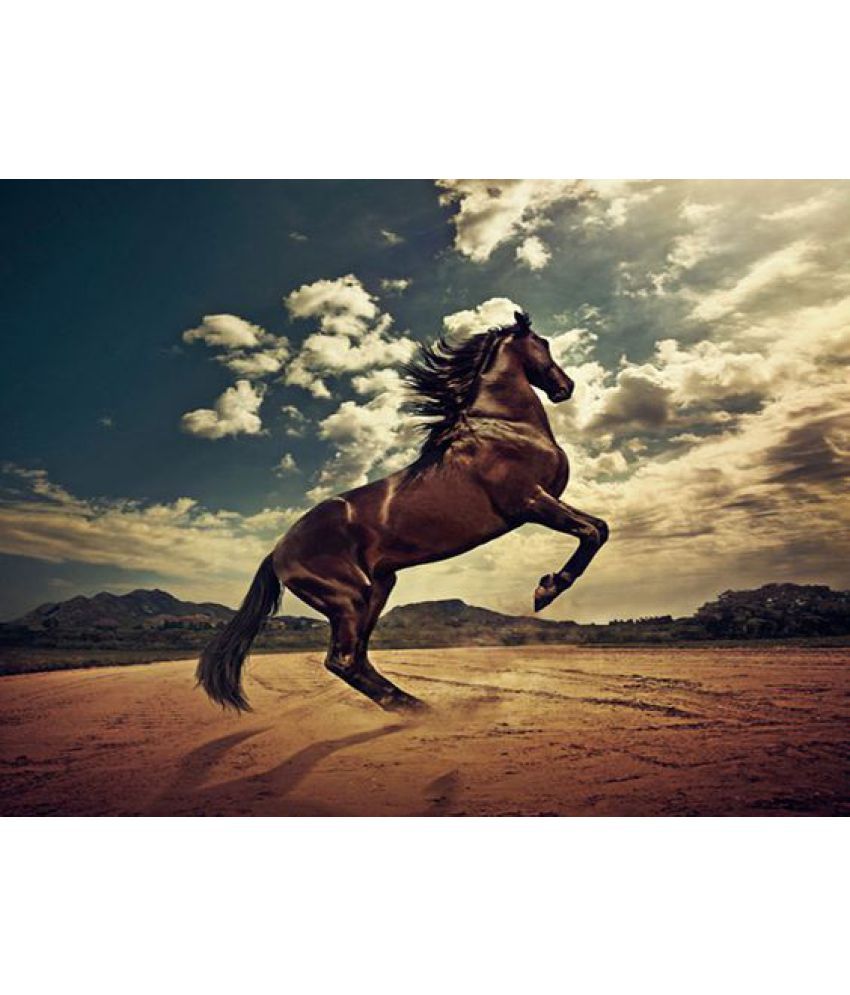 Frame overo paint horse image