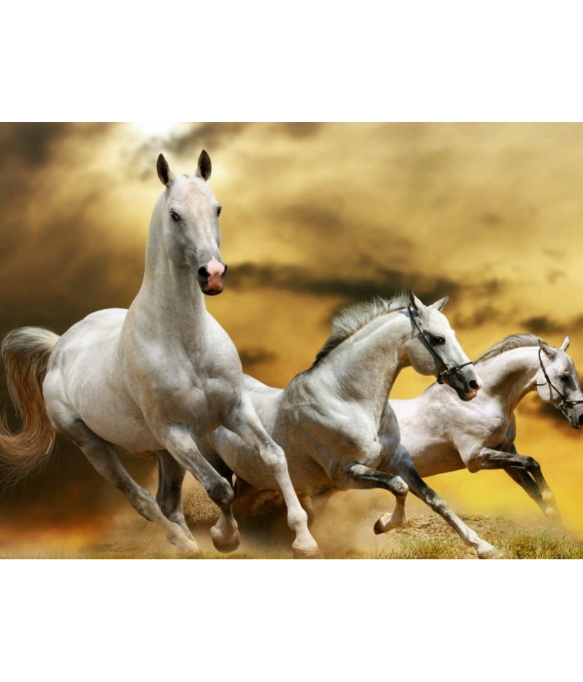 Myimage Beautiful Horses Paper Wall Poster Without Frame Single Piece ...