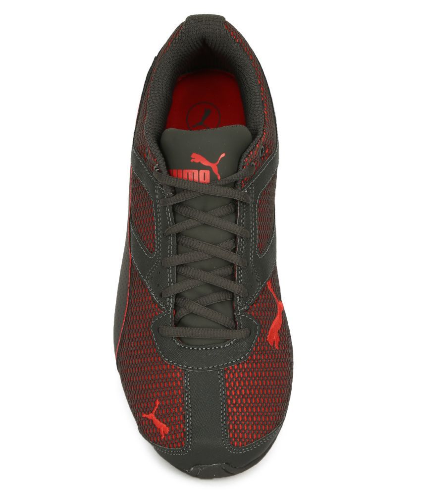 Puma Tazon 6 Mesh Peacot Red Running Shoes - Buy Puma Tazon 6 Mesh ...